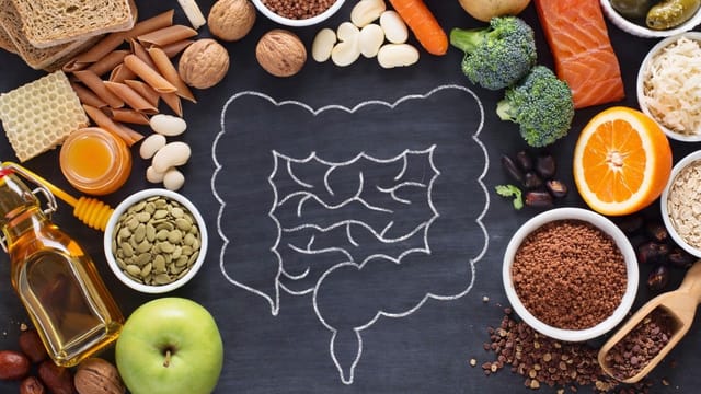 Why the Gut is Key to Healthy Aging