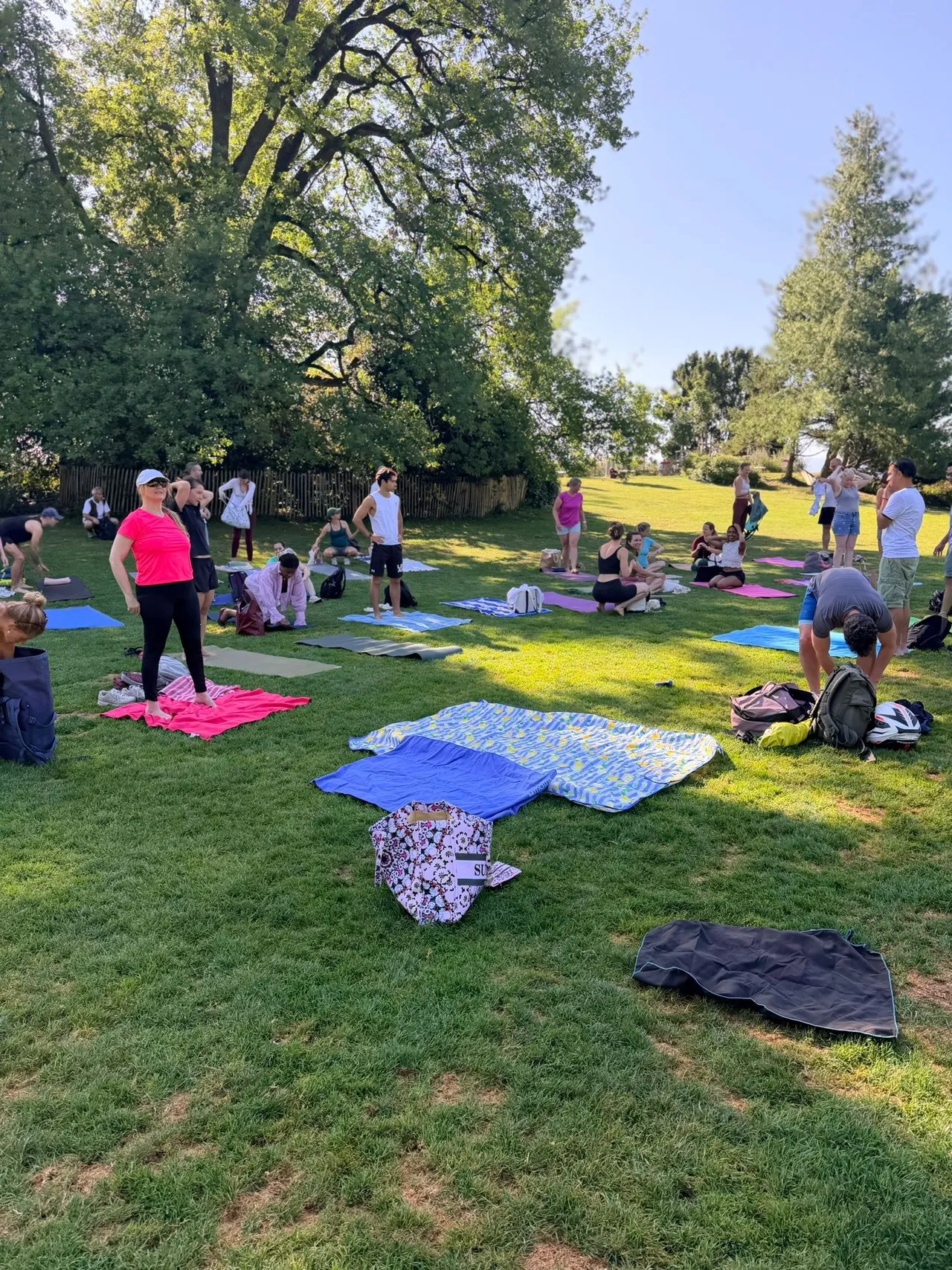 THE LONGEVITY RESET: Breathwork, Yoga & Picnic — 1