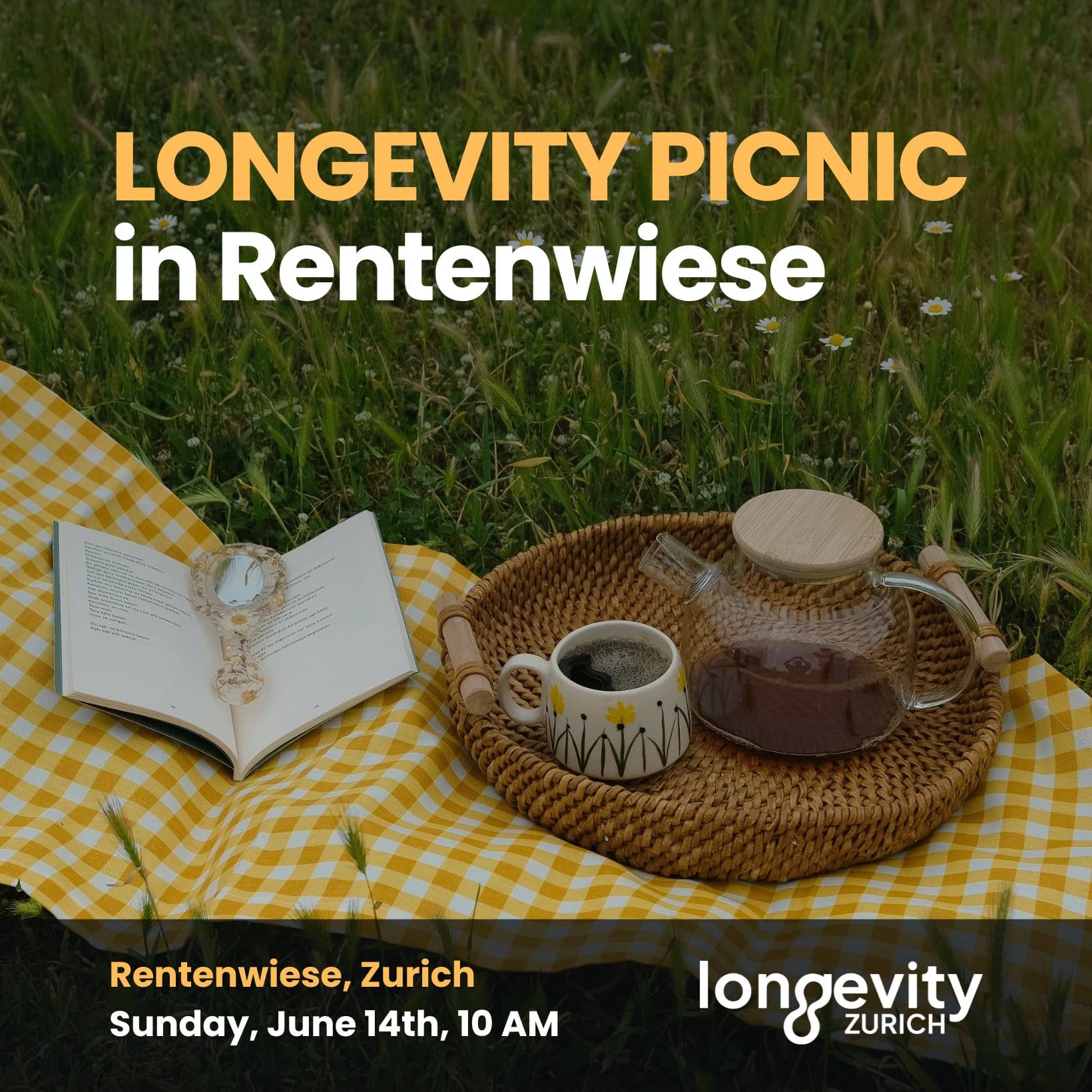 LONGEVITY PICNIC in Rentenwiese